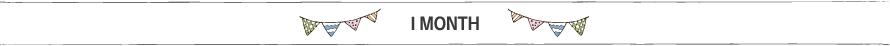 1MONTH