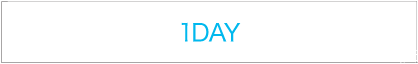 1DAY