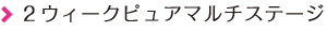 ２ウィークピュアマルチステージ