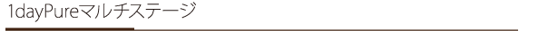 1daypureマルチステージ
